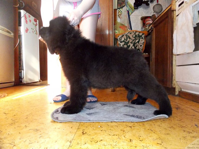 Фотография № 226957