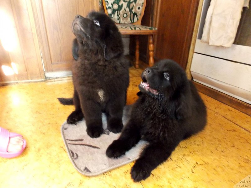 Фотография № 226961