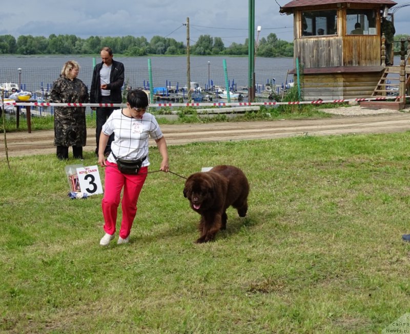 Фотография № 226987