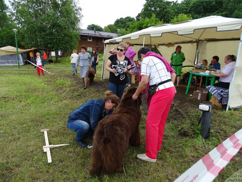 Фотография № 226988