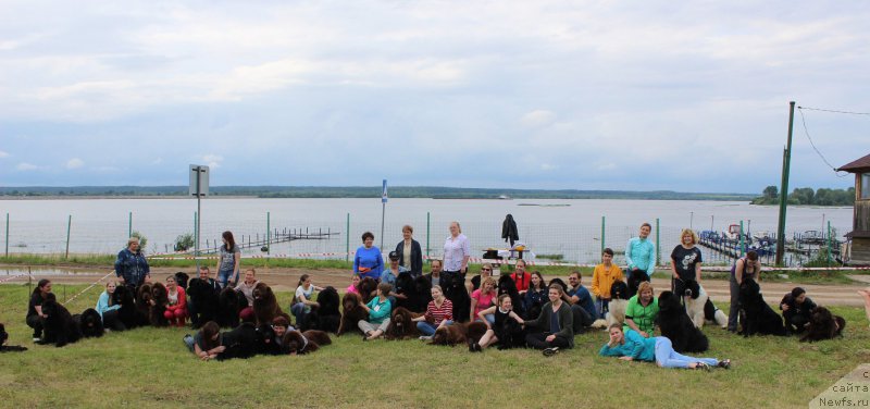 Фотография № 227004