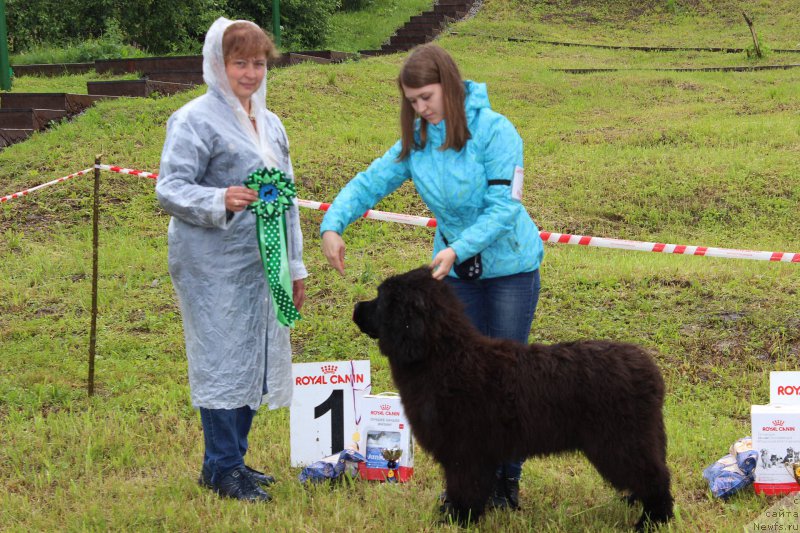 Фотография № 227005