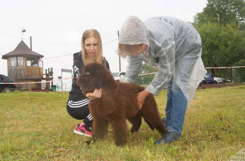 Фотография № 227006