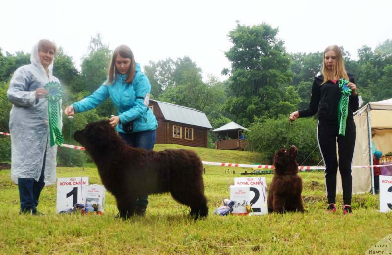 Фотография № 227007