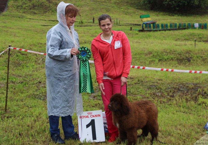 Фотография № 227009