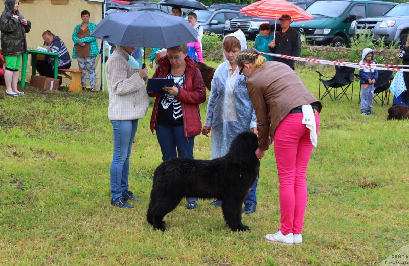 Фотография № 227010