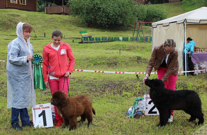 Фотография № 227011