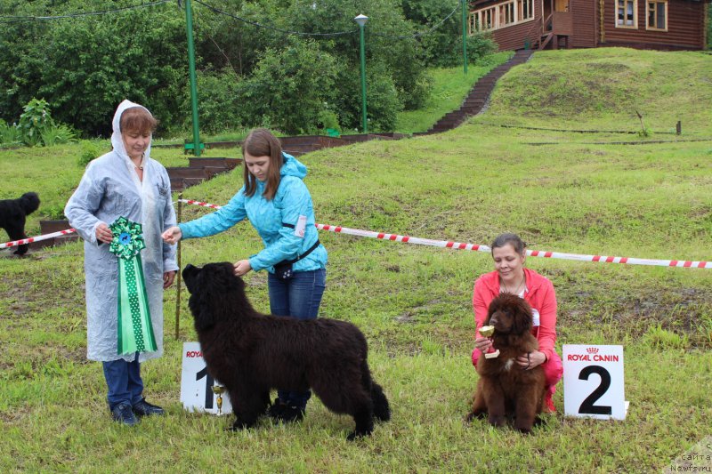 Фотография № 227013