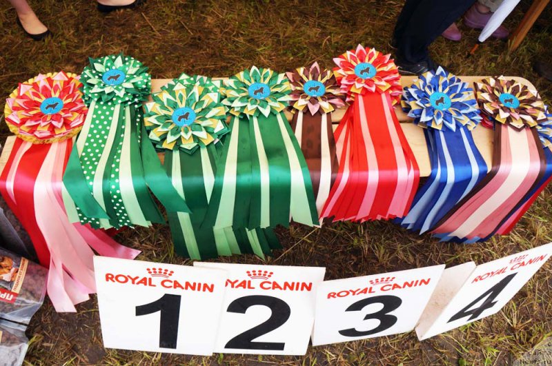 Фотография № 227015