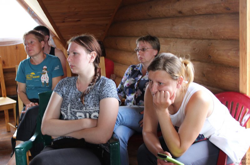 Фотография № 227024