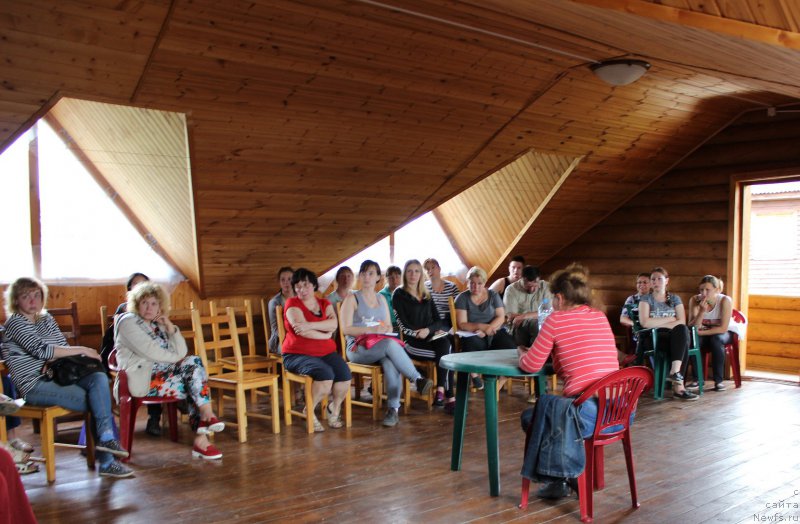 Фотография № 227026