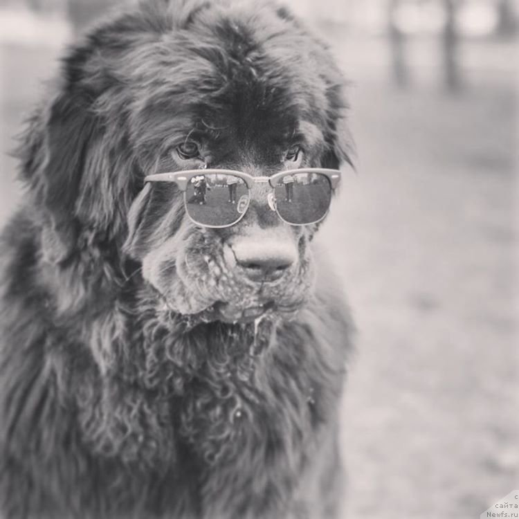 Фотография № 227119