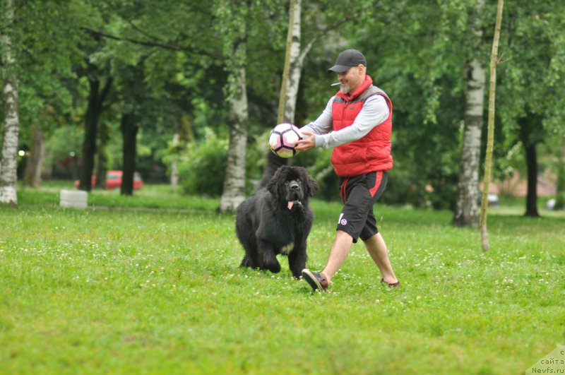 Фотография № 227121