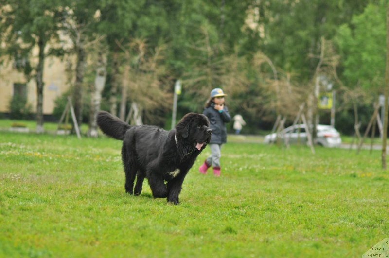 Фотография № 227123