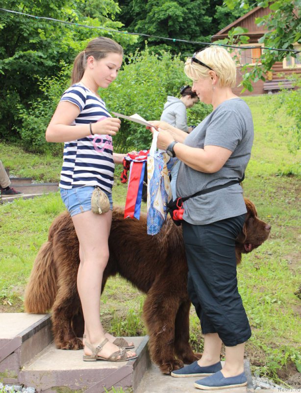 Фотография № 227128