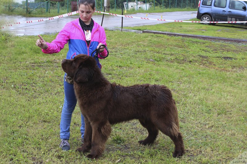 Фотография № 227134