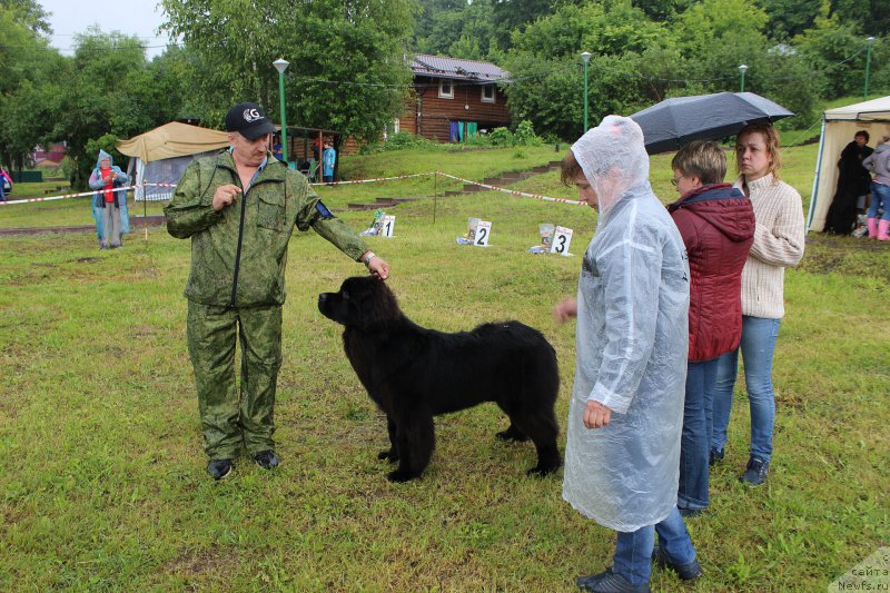 Фотография № 227137