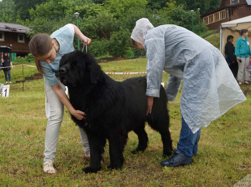 Фотография № 227139