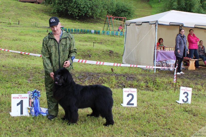 Фотография № 227141