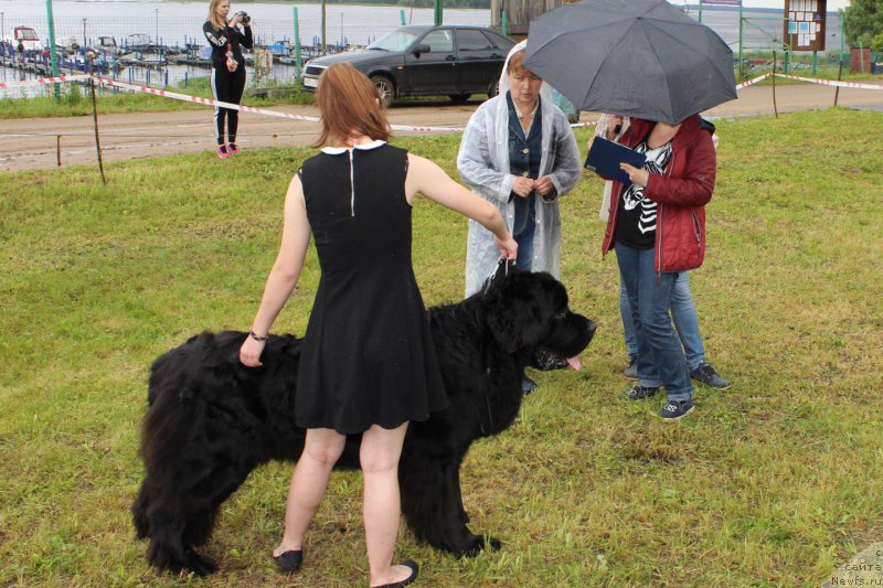 Фотография № 227142