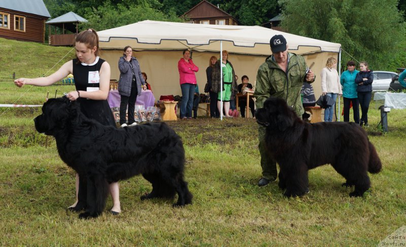 Фотография № 227144