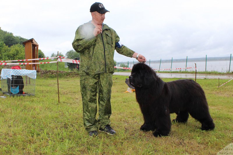 Фотография № 227146