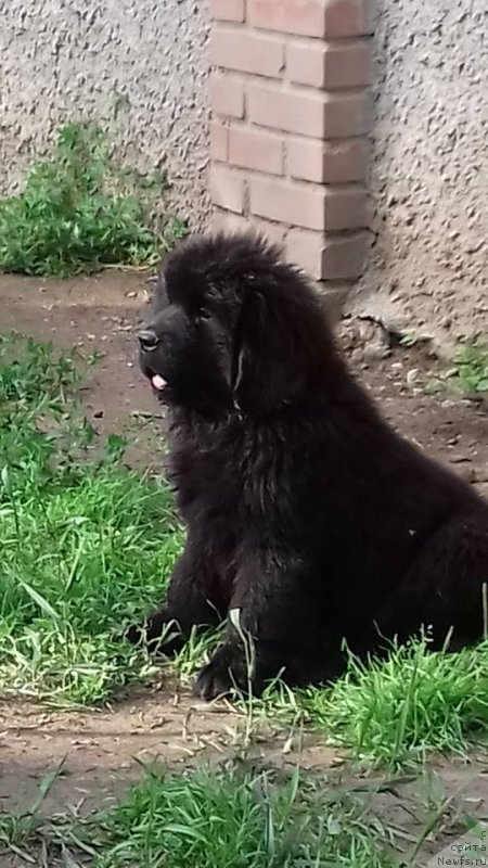 Фотография № 227154