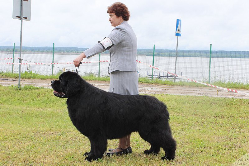 Фотография № 227160