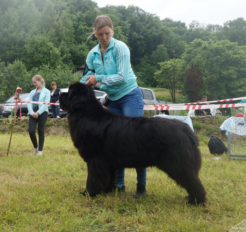 Фотография № 227163