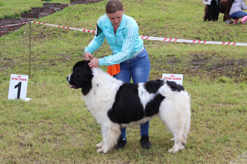 Фотография № 227166