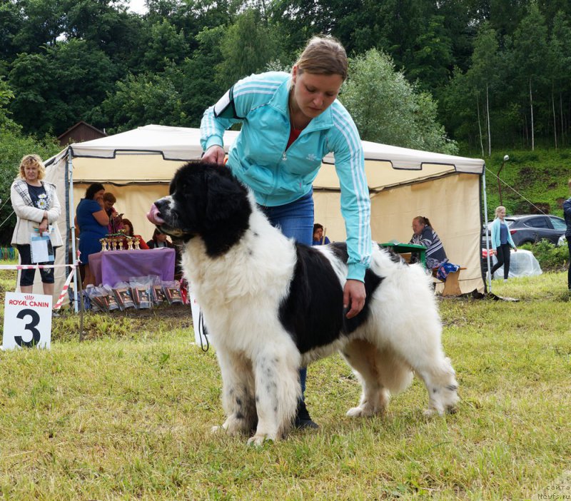 Фотография № 227169