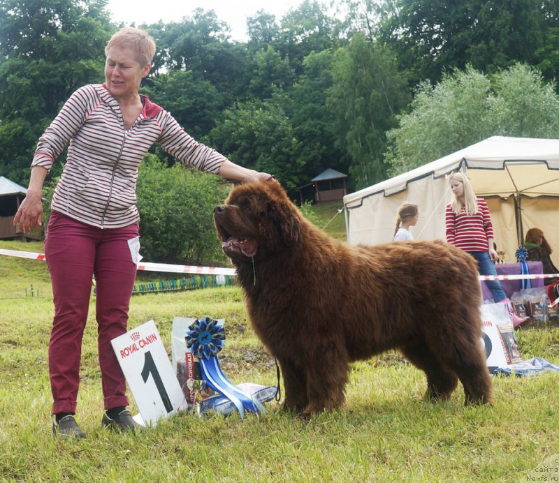 Фотография № 227170