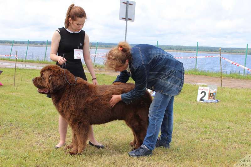 Фотография № 227171