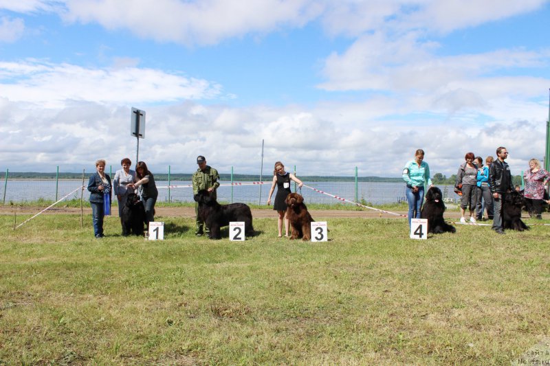 Фотография № 227175