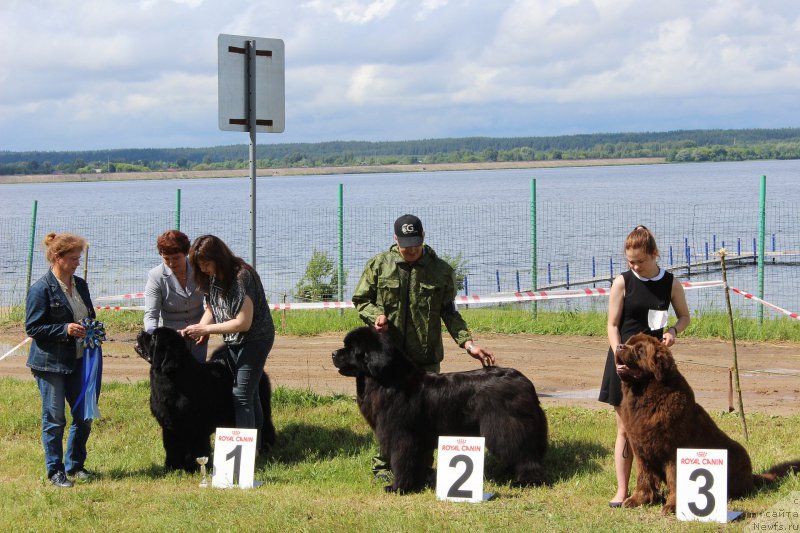 Фотография № 227176