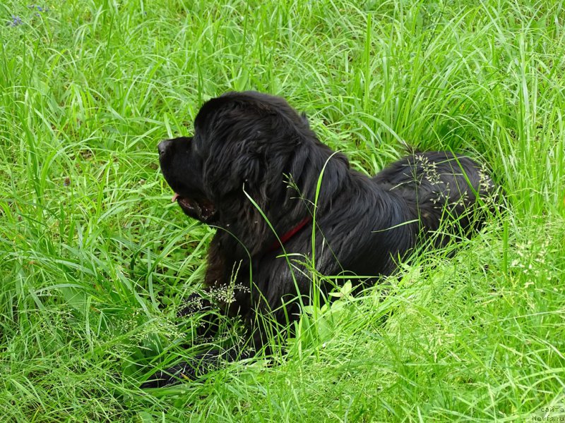 Фотография № 227190