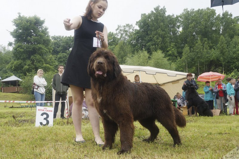 Фотография № 227197