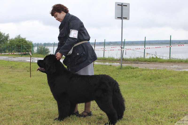 Фотография № 227198