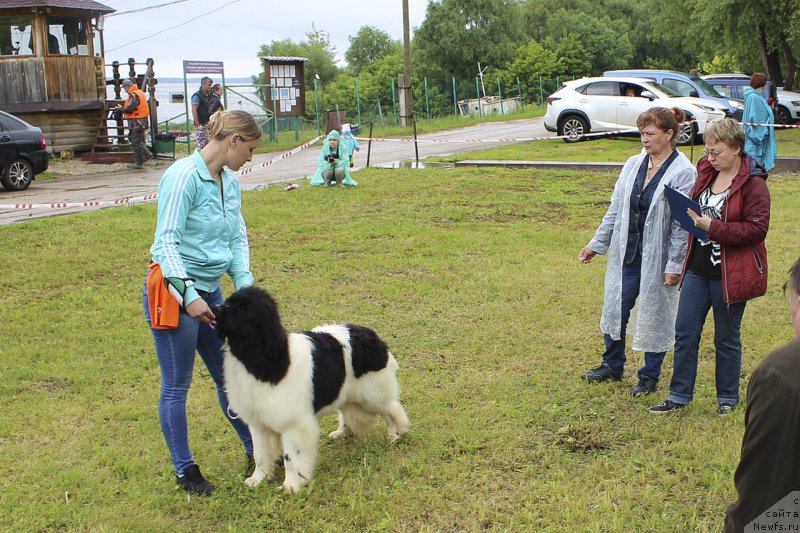 Фотография № 227199