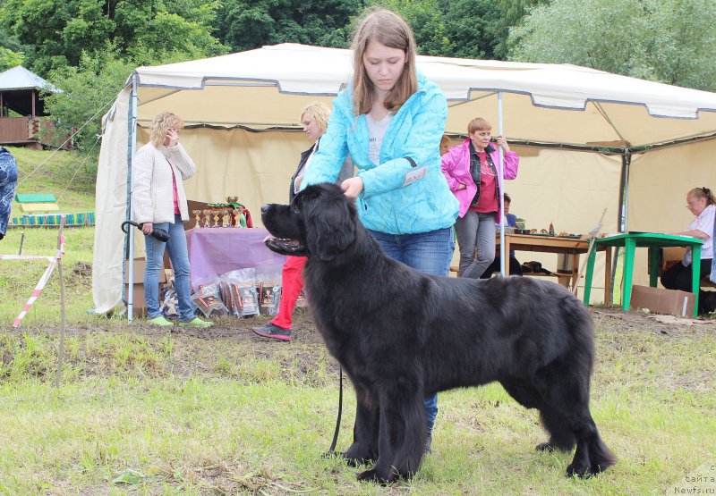 Фотография № 227202