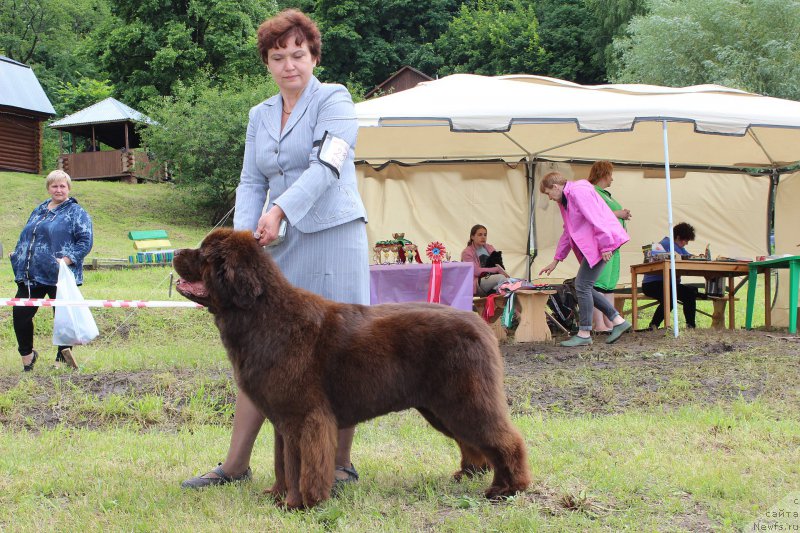 Фотография № 227205