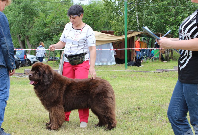 Фотография № 227206