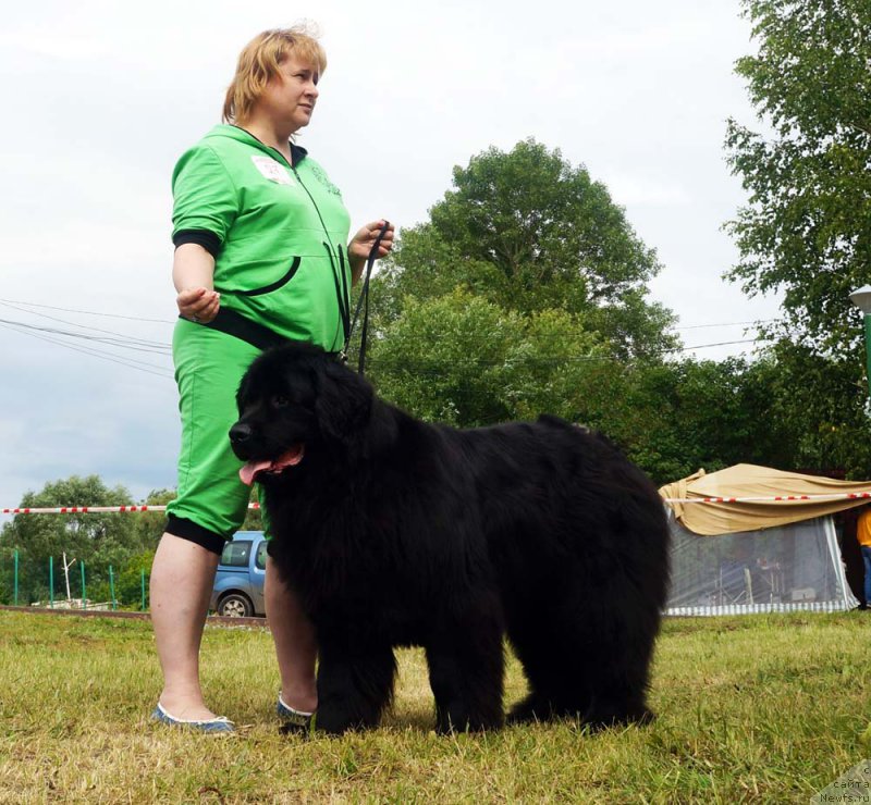 Фотография № 227211