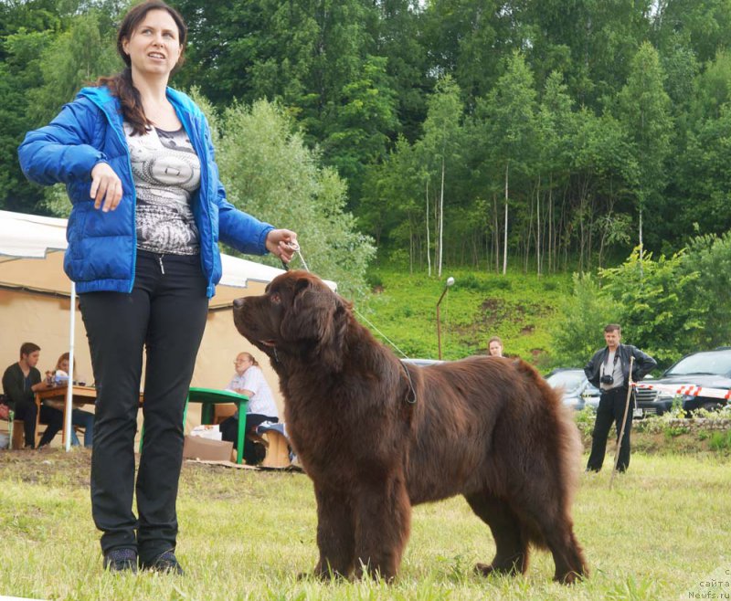 Фотография № 227218