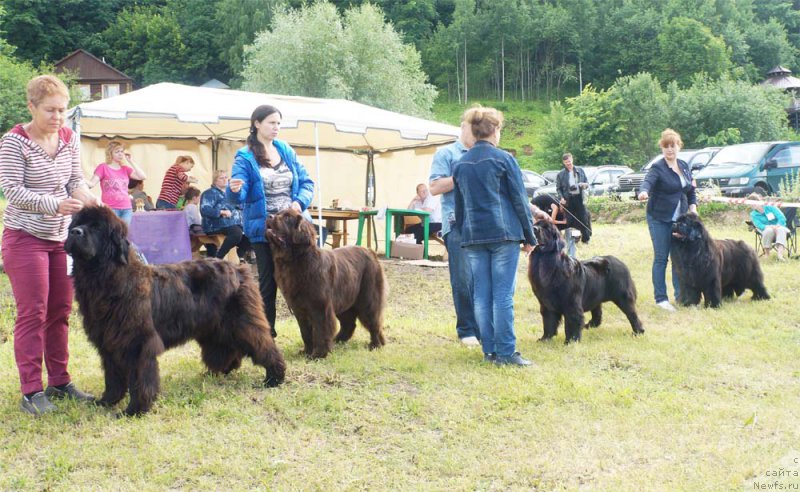 Фотография № 227221