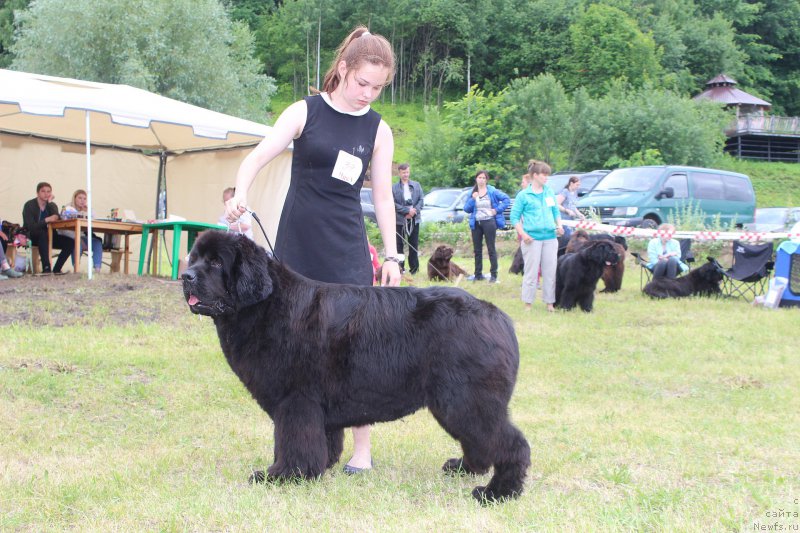 Фотография № 227224