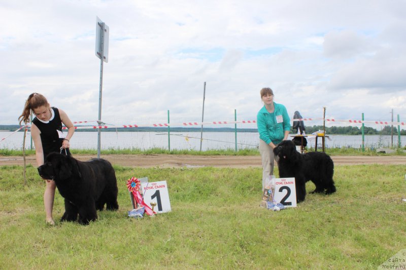 Фотография № 227225