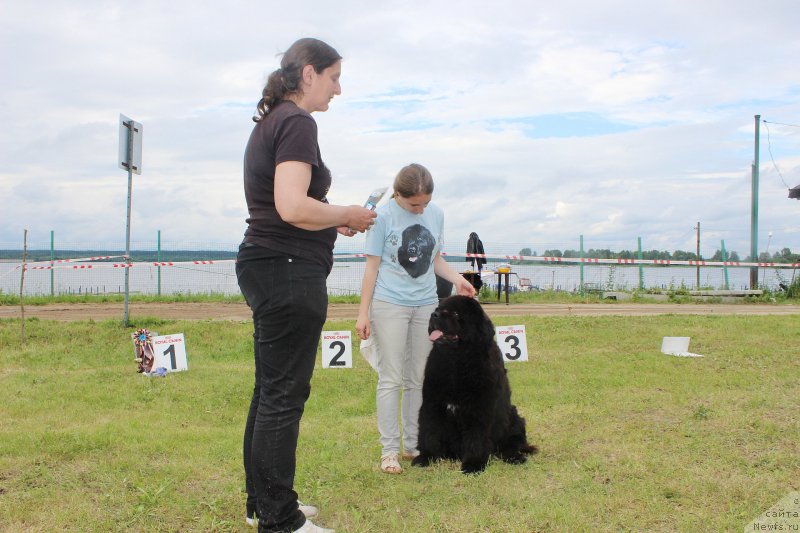 Фотография № 227226