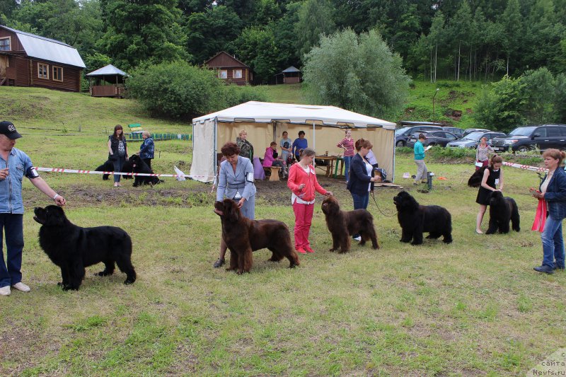 Фотография № 227227