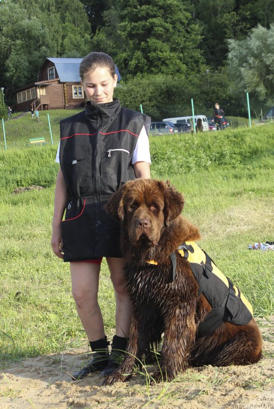 Фотография № 227240